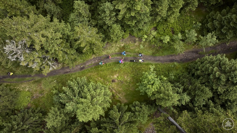 Natur pur auf dem Weg zum Kleinen Arber.
