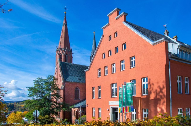 Flyer/Grafik zum Event: Zu Besuch bei Wolf, Luchs und Bär - Kinderführung im Waldmuseum am Mi., 11.06.2025 von 14:00 bis 15:00 Uhr