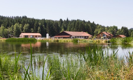 Niederbayerisches Trachtentreffen in Vilsbiburg: Heimat leben und gestalten