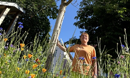 Schattenspender gesucht: Kastanie am Schönberger Marktplatz soll ersetzt werden