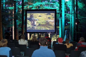 NaturVision - Das Internationale Natur- und Tierfilmfestival im Bayer. Wald