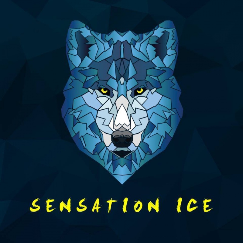 Flyer/Grafik zum Event: Sensation Ice Festival 2017 - Empire of Ice am Sa., 22.04.2017