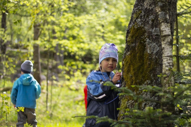 Flyer/Grafik zum Event: Berge für Zwerge am Mo., 01.07.2024 - Mo., 09.09.2024
