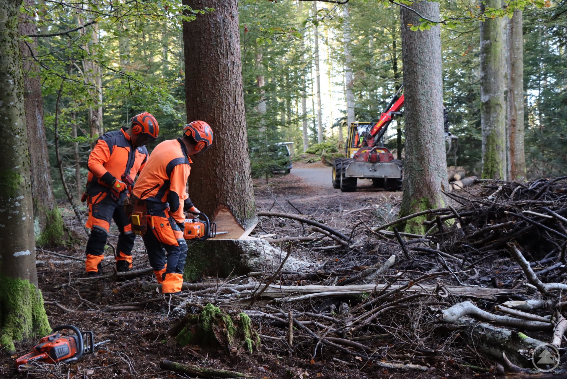 Voraussichtlich drei Wochen werden die Verkehrssicherungsmaßnahmen im Tier-Freigelände des Nationalparkzentrums Lusen andauern. (Foto: Nationalpark Bayerischer Wald)