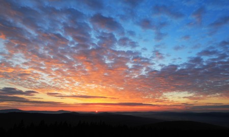 SCHATTENTRÄUME -Neuer Bild-Lyrikband
