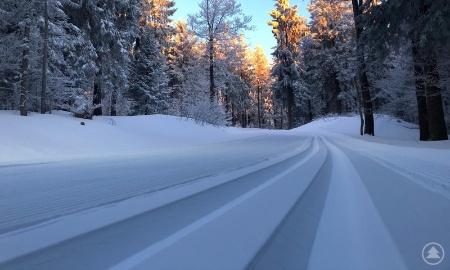 R&uuml;cksicht nehmen und Loipen sch&uuml;tzen