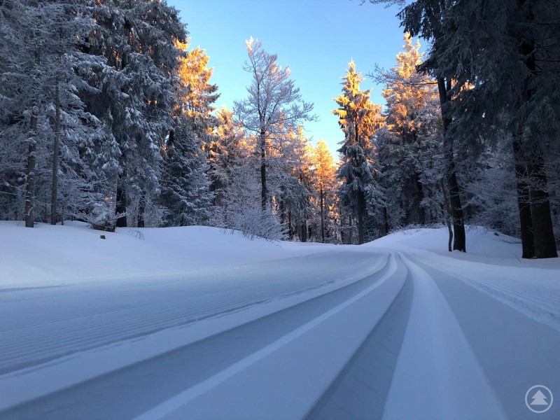 Keine Fußgänger auf den Loipen! Dann bleiben die Spuren so schön wie sie sind Touri Loipensaison 2026 - Rücksicht auf den Loipen.jpg: Frisch präparierte Langlaufloipe mit klaren Spuren durch einen verschneiten Wald, im Hintergrund warmes Morgenlicht zwischen den Bäumen.