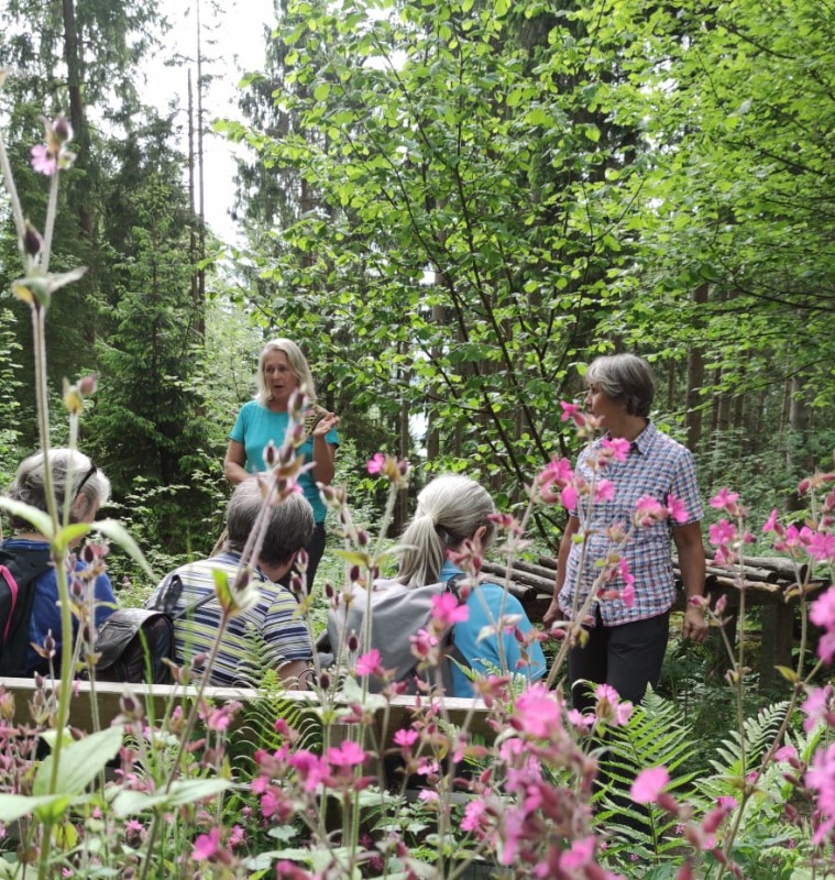 Flyer/Grafik zum Event: WOIDKRÄUTEREI - KRÄUTERFÜHRUNG am Fr., 15.07.2022 von 11:00 bis 13:00 Uhr