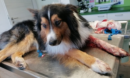 Am Karfreitag auf der Himmelsleiter…