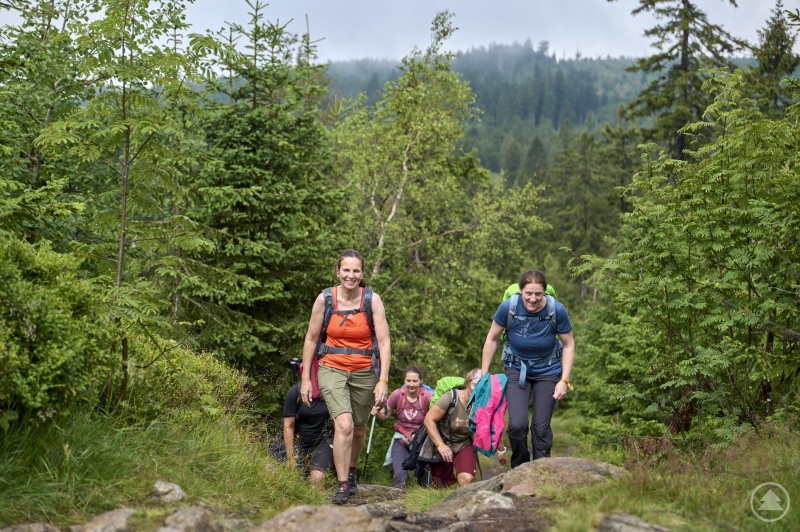 Über 300 Teilnehmer gingen dieses Jahr an den Start.