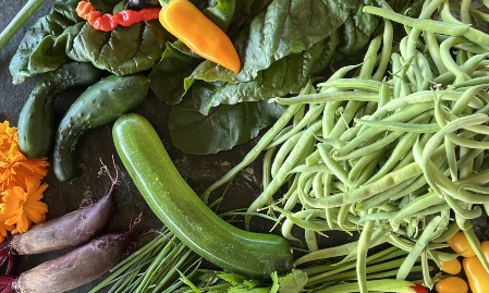 Vom Supermarkt zur Selbstversorgung - So gelingt der Einstieg