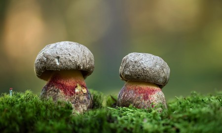 Septemberwetter 2025