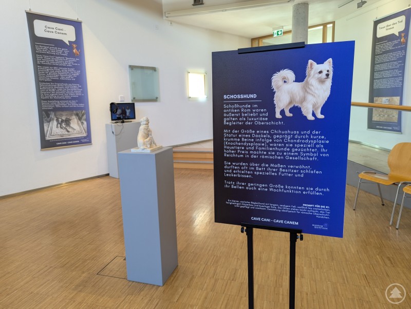 Aufsteller mit Informationen zu Schoßhunden in der Römerzeit