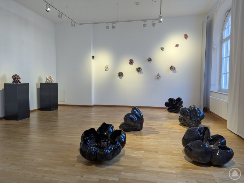 Florale Elemente sind eine der drei Werkgruppen von Anna Zimmermanns Ausstellung. Florale Plastiken bei der Kunstausstellung ECHOS im Stadtmuseum