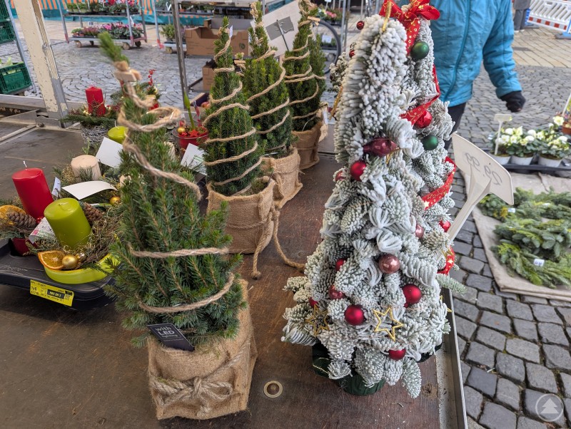 Es weihnachtet sehr an den Marktständen von Deggendorf. Weihnachtliche Tischdekoration mit Adventskranz und kleinen Tannenbäumen