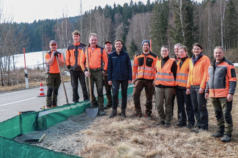 Beim Start der diesjährigen Amphibienschutzmaßnahmen des Nationalparks in der Bergerau dankte Nationalparkleiterin Ursula Schuster (Bildmitte) den engagierten Helfern. Mehrere Personen in orangefarbener Arbeitskleidung stehen an einer Straße neben einem Amphibienschutzzaun. Im Hintergrund sind Wald, Wiese und noch einzelne Schneereste zu sehen.