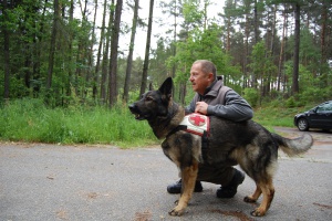 Spürhunde unterwegs