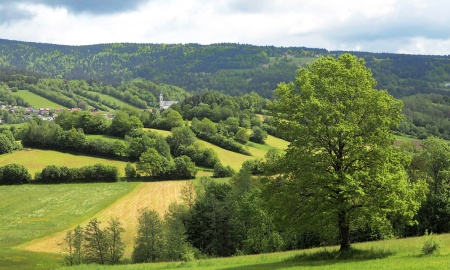Das Maiwetter heuer im Bayerwald