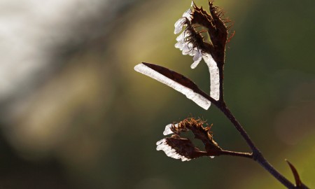 Kälteschock im April!