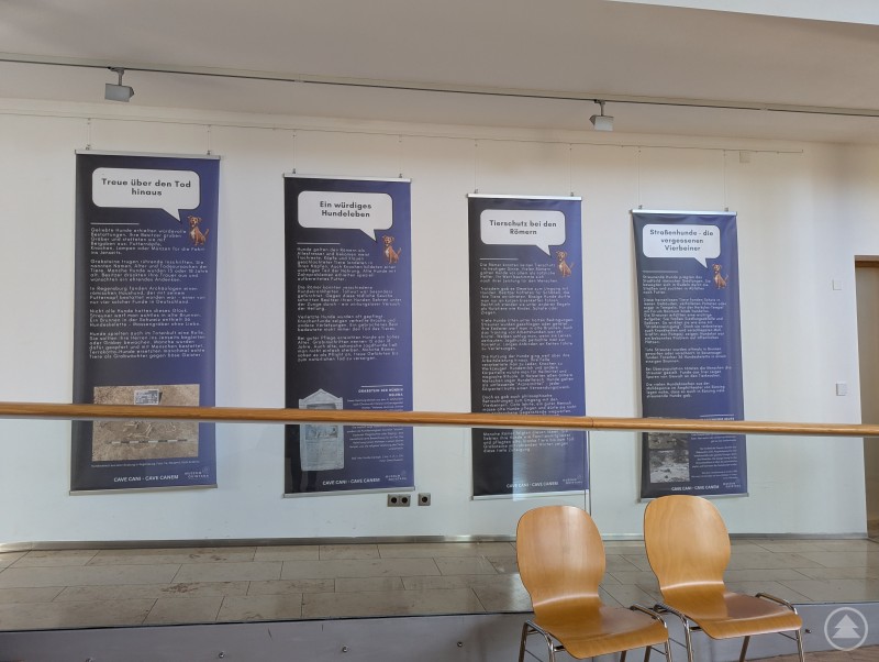 Die Sonderausstellung Vier an der Wand hängende Begleittexte zur Sonderausstellung über Hunde im Museum Quintana