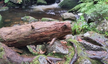 Komm‘ mit Raus und finde Deine Freiheit!