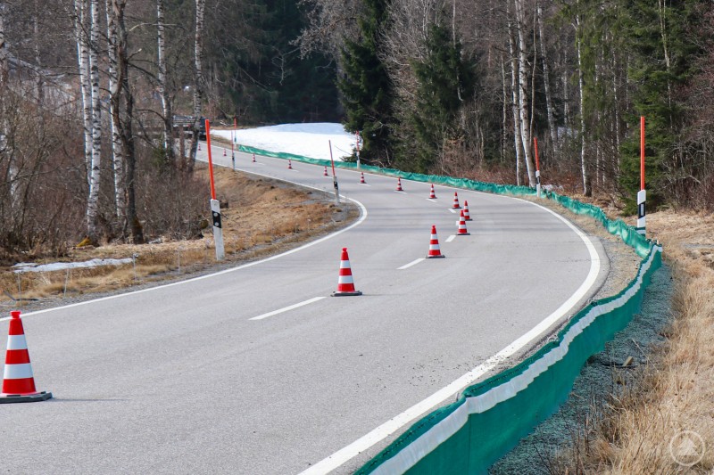 Eine kurvige Stra&szlig;e verl&auml;uft durch ein Waldgebiet. Entlang des Fahrbahnrandes stehen Warnkegel und ein gr&uuml;ner Amphibienschutzzaun.