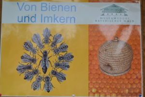 Von Bienen und Imkern