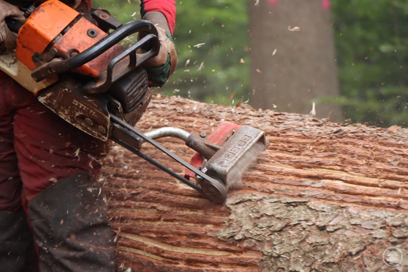 Gerade in unwegsamen und naturschutzfachlich wertvollen Bereichen kommen Waldarbeiter-Trupps mit Schlitz-Geräten zum Einsatz.