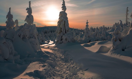 Noch traumhafter Winter