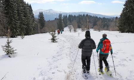 Nationalpark startet in Wintersaison