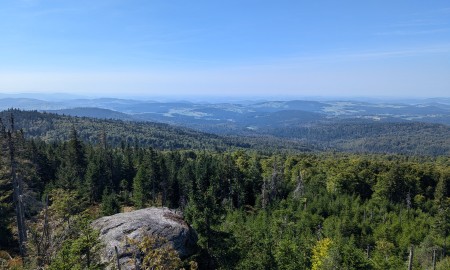 Entdecken Sie den Zauber des Bayerischen Waldes: Ein Leitfaden für Besucher, die zum ersten Mal da sind