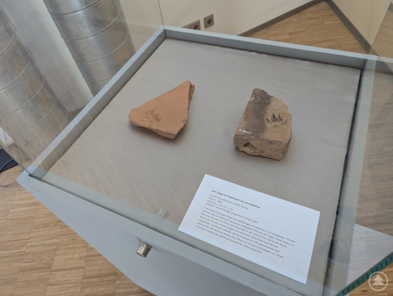 Antike Ziegelsteine mit Pfotenabdrücken von Hunden