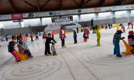 Eishalle statt Schneepiste: Grundschule Spiegelau genießt Wintersporttag in Regen