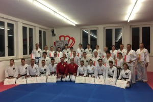 Bayerwald Karateka legen sich eine neue Gürtelfarbe unter den Weihnachtsbaum