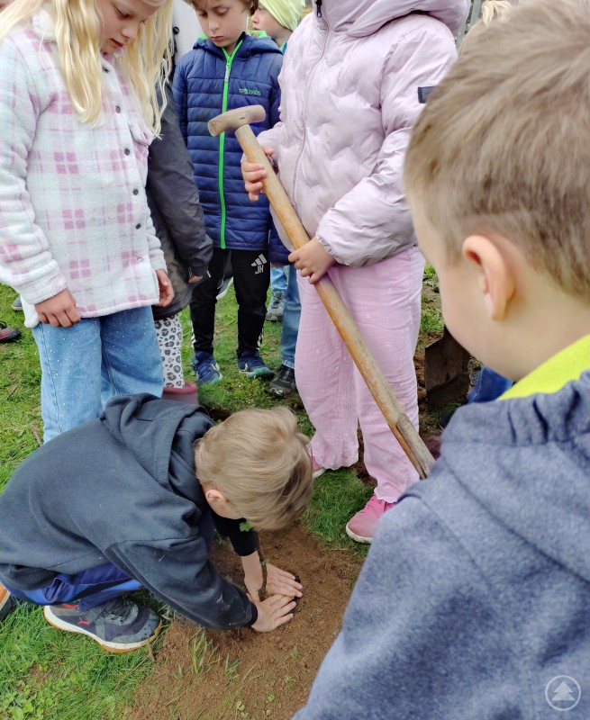 Im Schulgarten der Grundschule Ringelai wurden Heidelbeeren, Stachelbeeren und Johannisbeeren gepflanzt. Die Schülerinnen und Schüler der 1. und 2. Klasse erhielten dabei Unterstützung von ihren Lehrerinnen, vom Bauhof und von Bürgermeisterin Carolin Pecho. Kinder arbeiten gemeinsam im Schulgarten und pflanzen einen kleinen Strauch in die Erde ein.