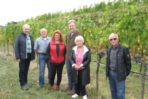 Städtische Weingüter in der Wachau gedeihen prächtig
