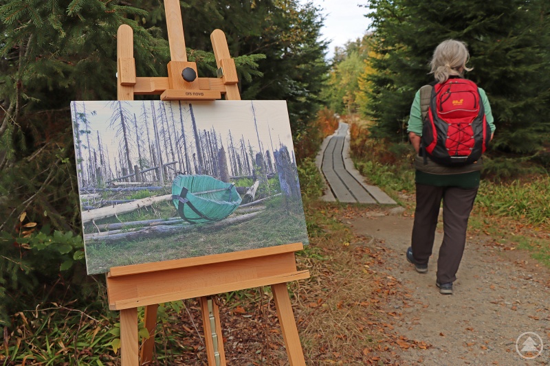 Historische Bilder verdeutlichten nicht nur die Reise der Arche, sondern auch die Entwicklung der Nationalpark-Wälder.
