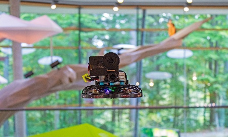 Ein wilder Flug durchs Haus zur Wildnis