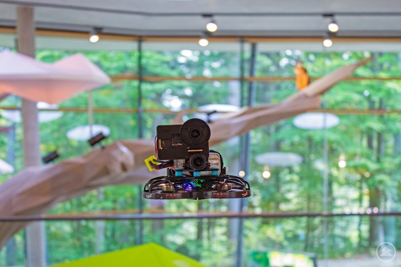 Mit dieser Drohne entstand der One-Shot-Clip, bei dem der zweistöckige Laubbaum der neuen Ausstellung im Haus zur Wildnis im Fokus steht.