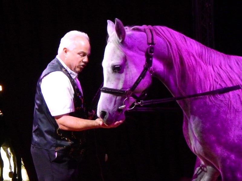 Flyer/Grafik zum Event: Circus Karl ALTOFF Köllner in Zwiesel am Do., 05.06.2025 - Sa., 07.06.2025