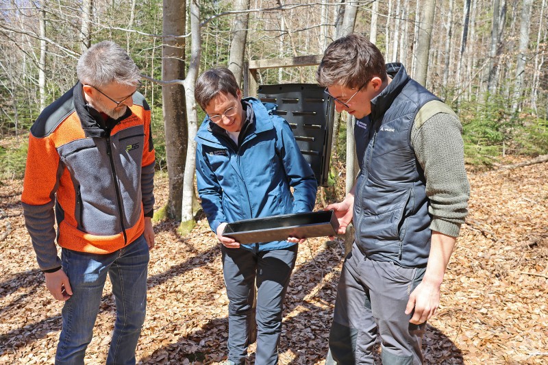 Die Monitoring Fallen stehen, sind aber noch leer. Für die anstehende Borkenkäfer Saison sehen Jochen Linner links, Ursula Schuster und Jakob Geiger den Nationalpark gut gerüstet. Drei Personen stehen im Wald und betrachten gemeinsam eine Borkenkäfer Monitoring Falle, umgeben von Laubbäumen und Waldboden.