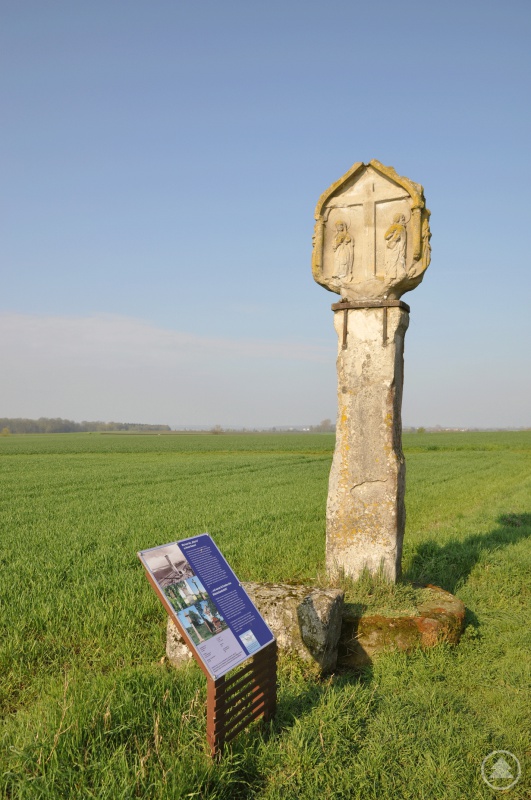 Die Geschichte von der sogenannten „Dicken Ev“ am Weg nach Spiesheim (Gemeinde Sulzheim, Lkr. Schweinfurt), rankt sich um einen Bildstock, einen ehemaligen Leichweg und verloren gegangene Särge. Zur „Dicken Ev“ gibt es einen Eintrag in der Datenbank.