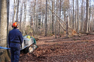 Nach Schneeabgang: Nationalpark beginnt mit Entfernung von Gefahrenstellen