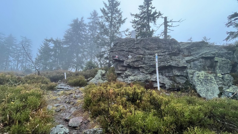 Der Grenzsteig in der Nähe vom Zwercheck.