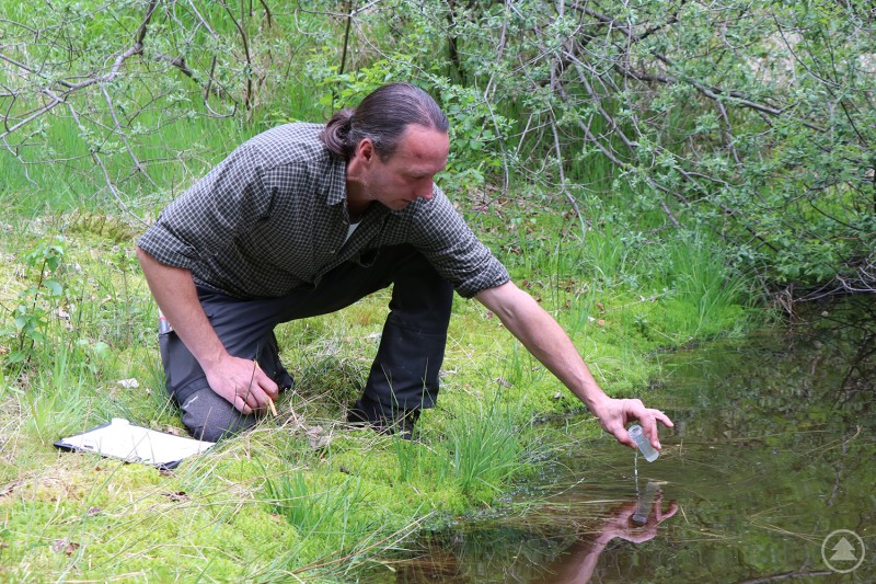 Die Gewässerprobe, die Nationalparkmitarbeiter Martin Pauli im südöstlichen Bereich des Schutzgebietes entnommen hat, enthielt die DNA eines Moorfrosches.