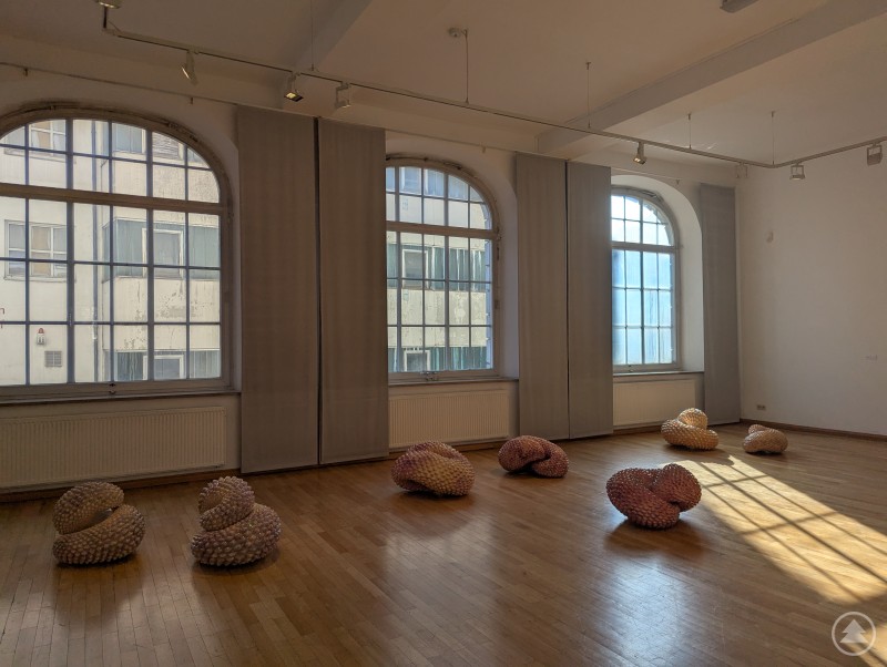 Sind es Steine, Drachen oder ...? In ihren Werken lässt Anna Zimmermann bewusst Raum für eigene Interpretationen. Mineralische Kunstwerke der Ausstellung ECHOS in Deggendorf