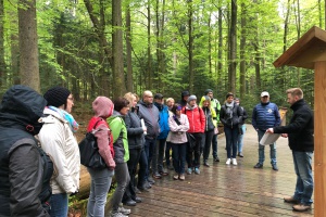 Touristiker auf Exkursion durch den Nationalpark