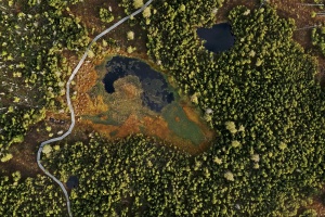 Kinofilm zum 50. Nationalparkgeburtstag