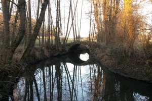 Dem schleichenden Verlust an Kulturlandschaft entgegenwirken