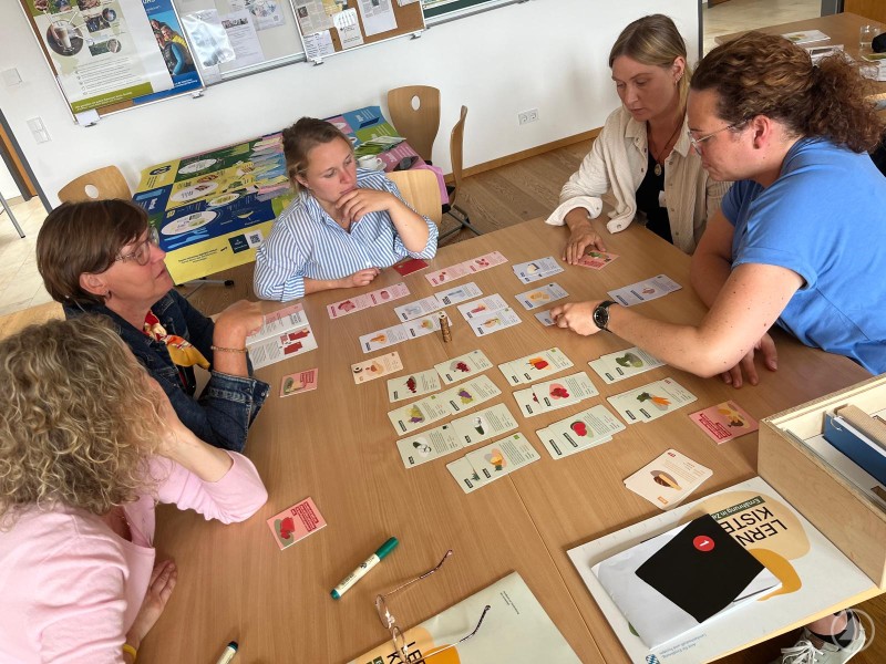 Die Referentinnen für Hauswirtschaft und Ernährung lernten die Lern-kiste mit ihren vielfältigen Materialien praxisnah kennen. Fünf Frauen sitzen an einem Tisch und beschäftigen sich intensiv mit Lernmaterialien, bestehend aus Karten und Schaubildern. Sie diskutieren und analysieren die Inhalte gemeinsam.